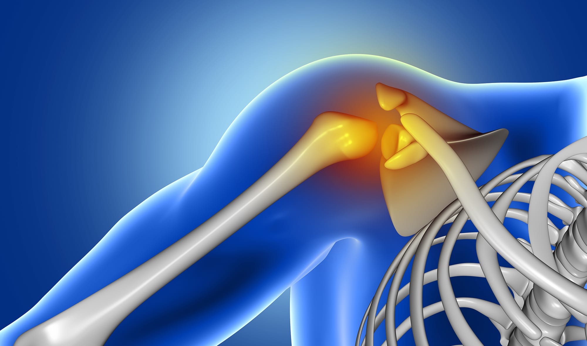 Cape Fear Orthopedics - We have specialty-trained shoulder doctors