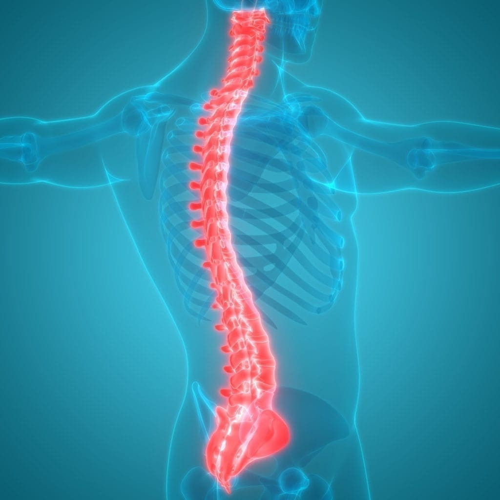 How Core Strength Can Help Your Spine